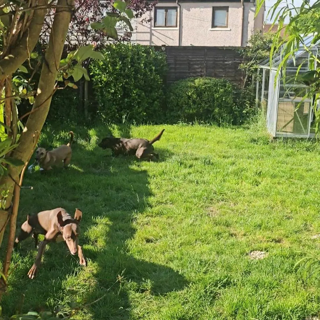 Guest house Cozy 3 Bedroom House Near Ari And City Centre, Ab16, Wifi, Parking, Netflix, Pet - Friendly Aberdeen United Kingdom